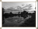 Starorzecza Wis�y 24
