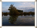 Starorzecza Wis�y 10